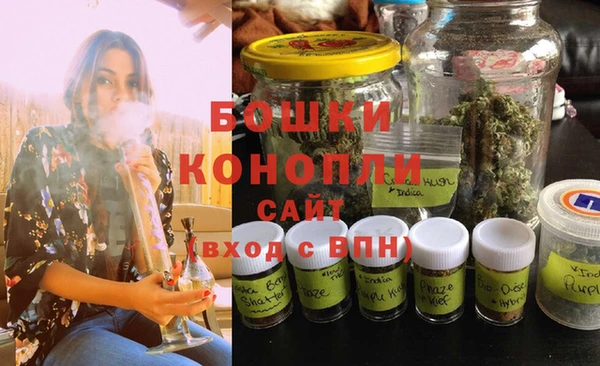 спайс Рославль