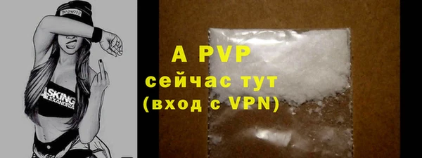 PSILOCYBIN Богданович