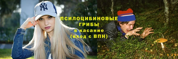 PSILOCYBIN Богданович