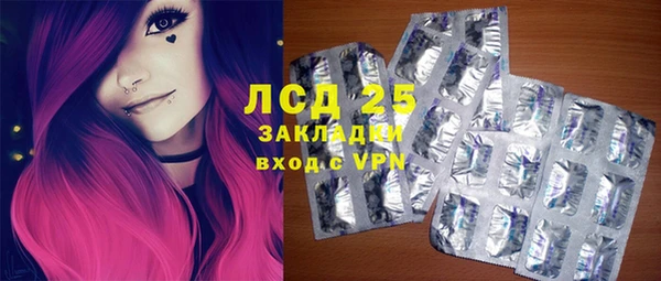 PSILOCYBIN Богданович
