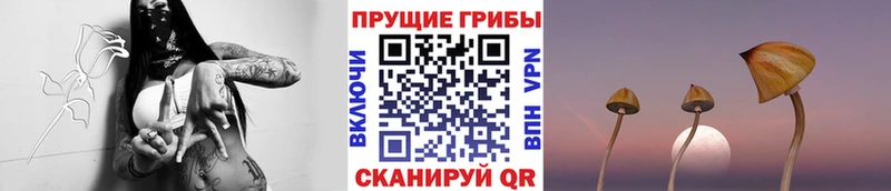 Псилоцибиновые грибы мицелий  Озёрск 